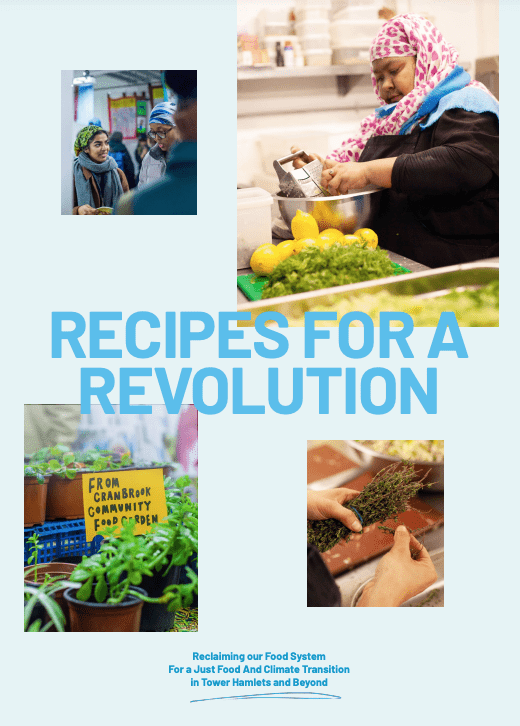 Recipes for a Revolution